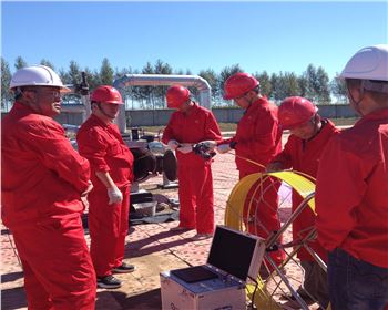 大慶石油天然氣管道檢測(cè)[九泰內(nèi)窺鏡]